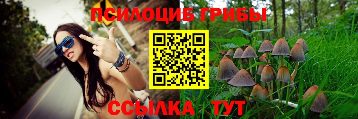 Галлюциногенные грибы Psilocybine cubensis Приморско-Ахтарск