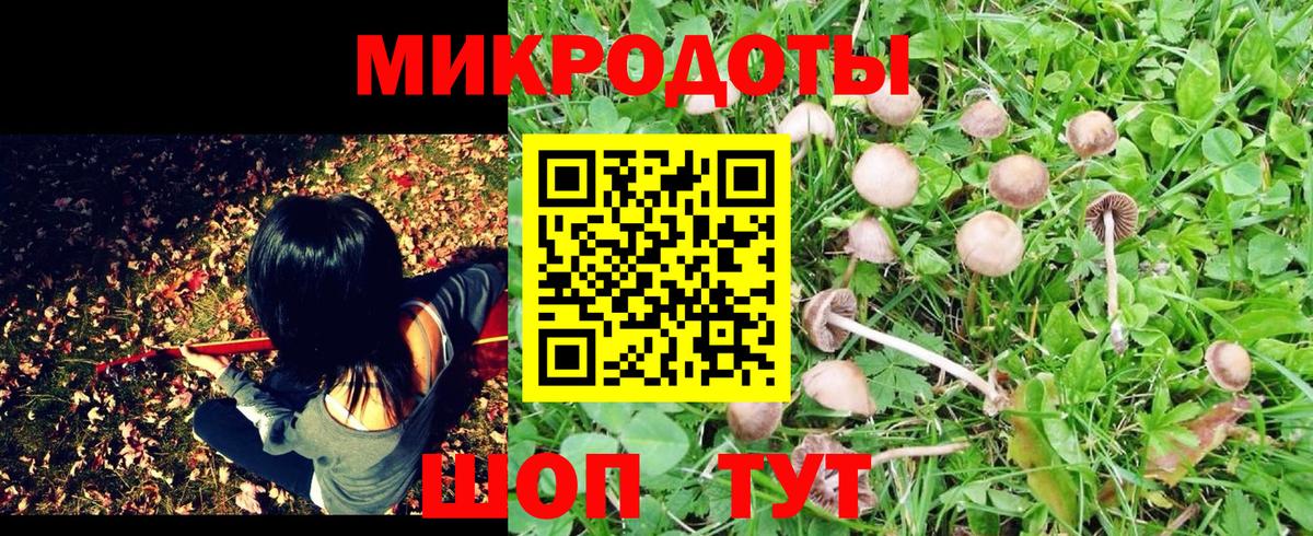 Галлюциногенные грибы мухоморы  Галлюциногенные грибы Cubensis  Приморско-Ахтарск  Вход с VPN 